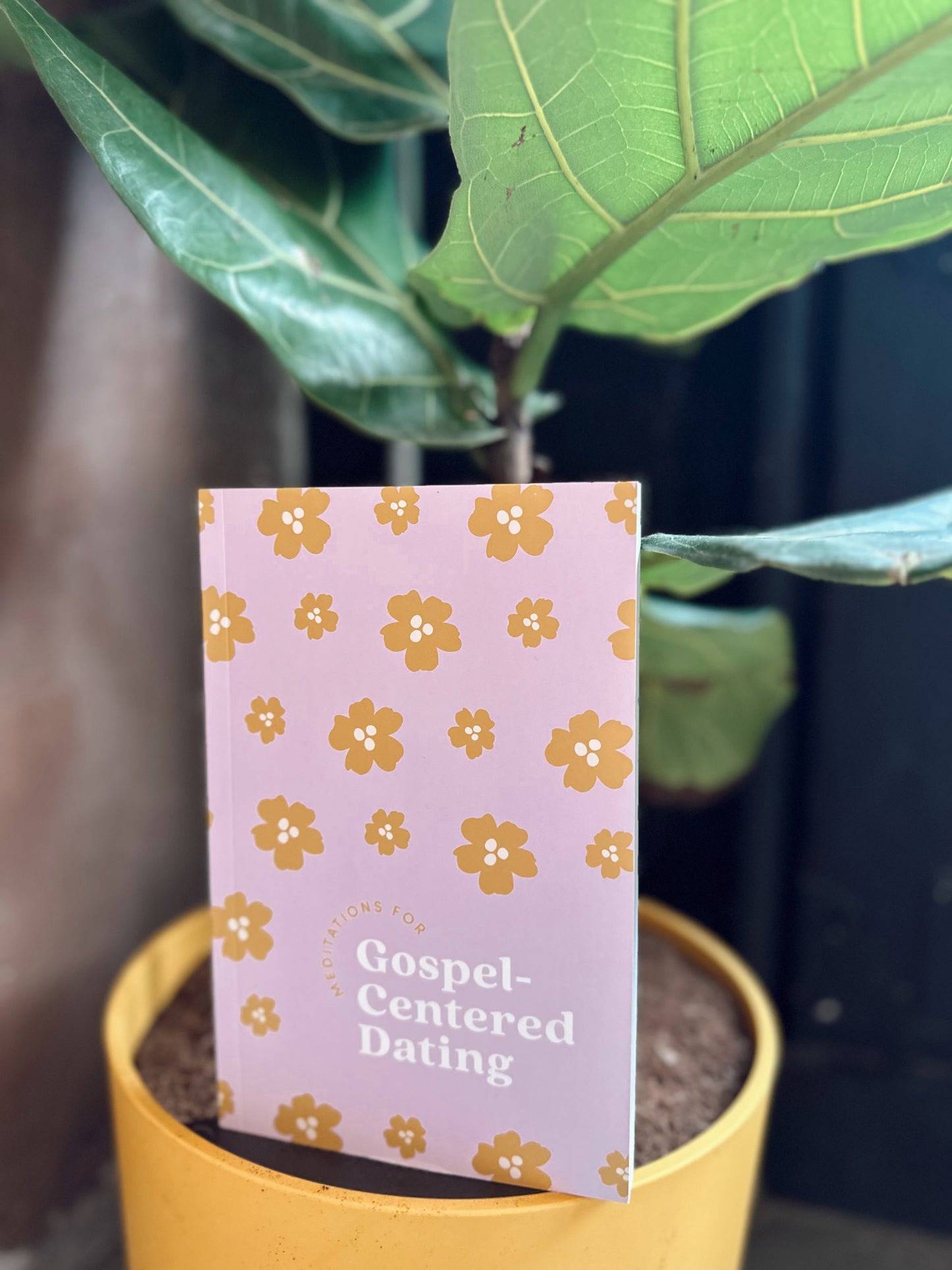 Gospel-Centered Dating