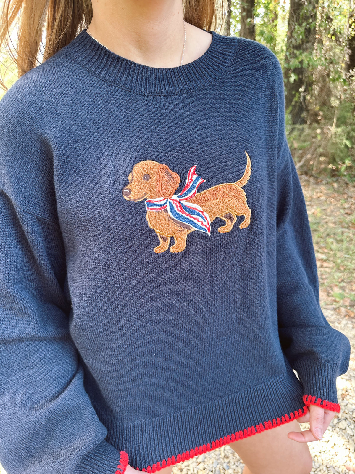 Hometown Hound Sweater