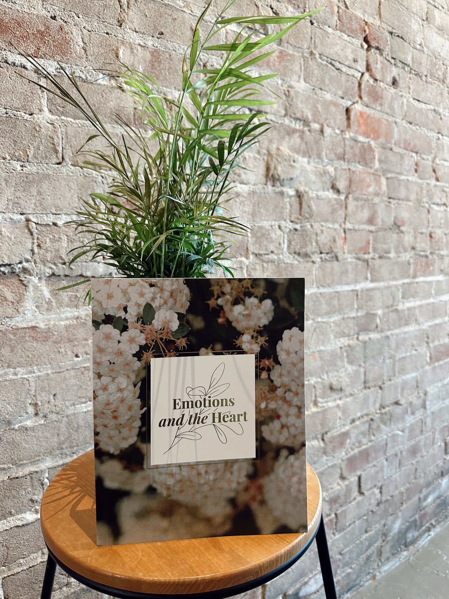 Emotions and the Heart