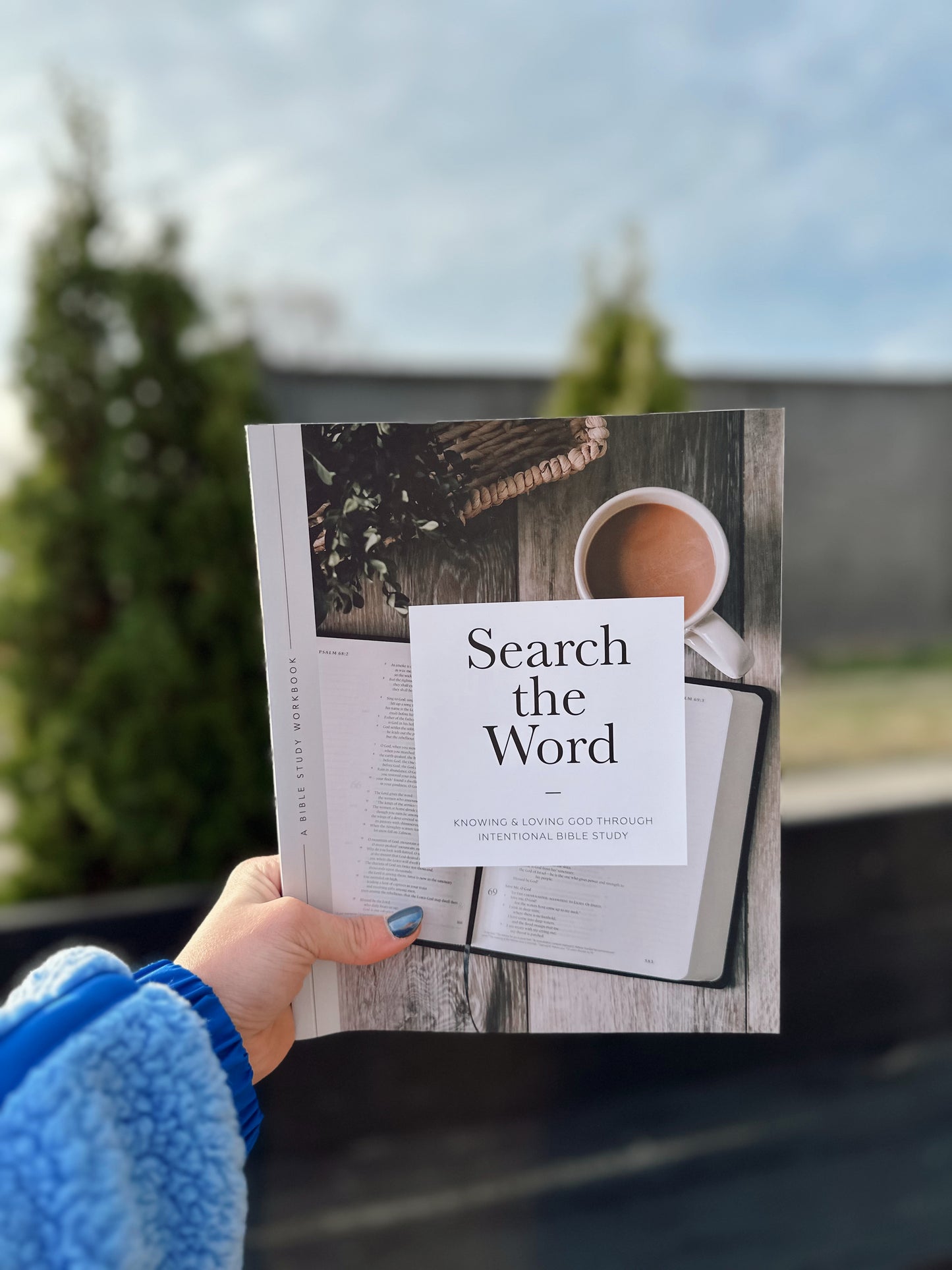 Search the Word Study