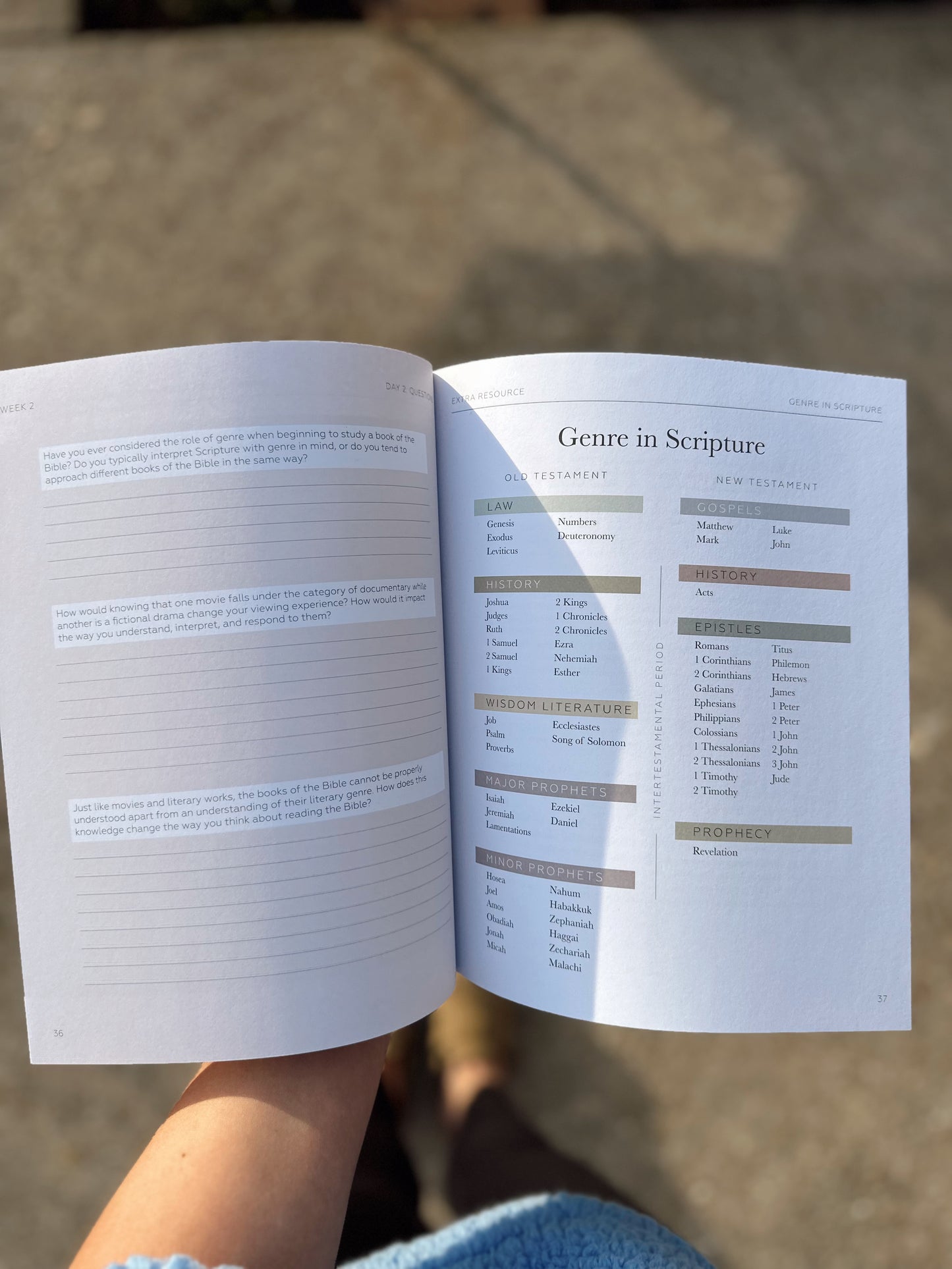 Search the Word Study