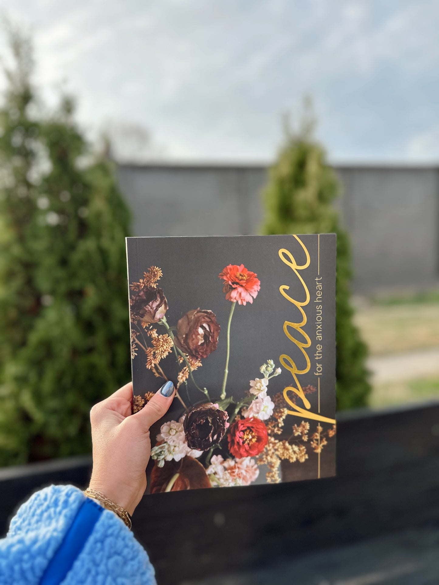 Peace for the Anxious Heart