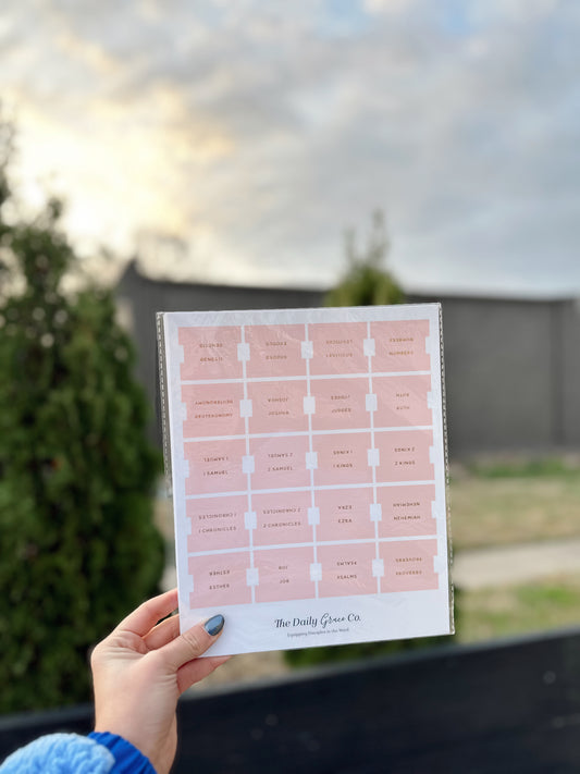 Blush Bible Tabs